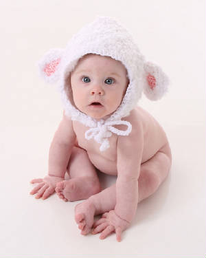 lamb3.jpg